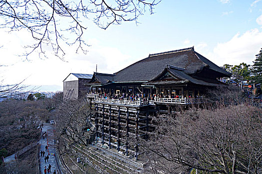 迷香水购物平台162-162863
